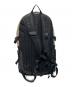 THE NORTH FACE (ザ ノース フェイス) ビッグショット ベージュ：10000円