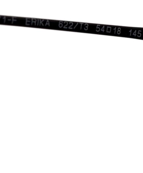 RAY-BAN（レイバン）RAY-BAN (レイバン) ERIKA CLASSIC サングラス　RB 4171-F ブラック サイズ:54□18 145の古着・服飾アイテム