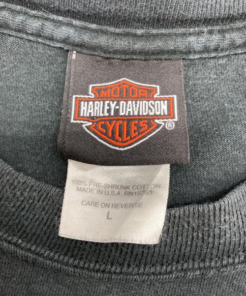 HARLEY-DAVIDSON（ハーレーダビッドソン）HARLEY-DAVIDSON (ハーレーダビッドソン) プリントTシャツ ブラック サイズ:Lの古着・服飾アイテム