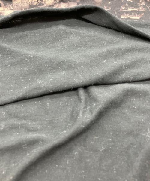 Hysteric Glamour（ヒステリックグラマー）Hysteric Glamour (ヒステリックグラマー) スカルプリントカットソー ブラック サイズ:Freeの古着・服飾アイテム