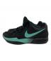 NIKE (ナイキ) Nike Ja 2　FD7328-003 ブルー×ブラック サイズ:US10(28)：10000円