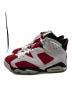 NIKE (ナイキ) Air Jordan 6 