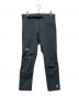 THE NORTH FACE（ザ ノース フェイス）の古着「Big Wall Pant」｜グレー
