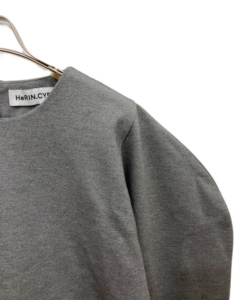 HeRIN.CYE（ヘリンドットサイ）HeRIN.CYE (ヘリンドットサイ) Ponte peplam tops グレー サイズ:Freeの古着・服飾アイテム