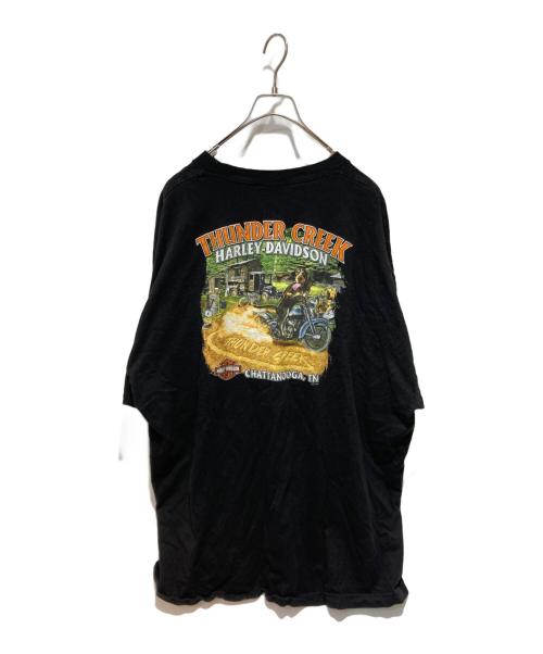HARLEY-DAVIDSON（ハーレーダビッドソン）HARLEY-DAVIDSON (ハーレーダビッドソン) Tシャツ ブラック サイズ:不明の古着・服飾アイテム