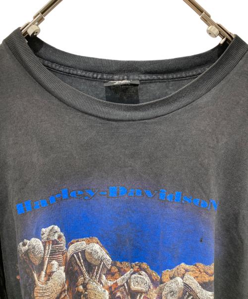 HARLEY-DAVIDSON（ハーレーダビッドソン）HARLEY-DAVIDSON (ハーレーダビッドソン) プリントTシャツ ブラック サイズ:XXXLの古着・服飾アイテム