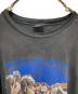 中古・古着 HARLEY-DAVIDSON (ハーレーダビッドソン) プリントTシャツ ブラック サイズ:XXXL：15000円