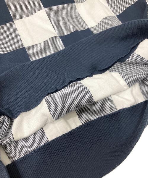 LOUIS VUITTON（ルイ ヴィトン）LOUIS VUITTON (ルイ ヴィトン) 2017 Plaid Pullover ネイビー×ホワイト サイズ:XSの古着・服飾アイテム