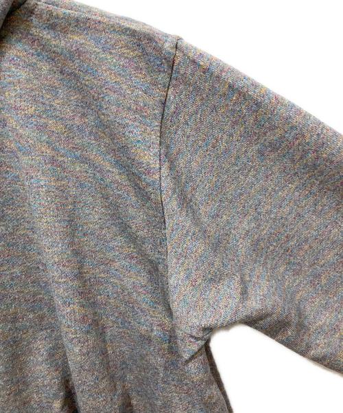 Dinoworks（ディノワークス）Dinoworks (ディノワークス) PORIS SHINE HOODIE マルチカラー サイズ:FREEの古着・服飾アイテム