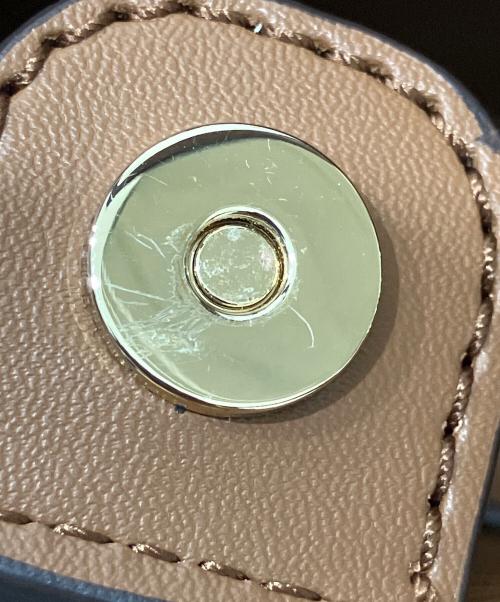 MICHAEL KORS（マイケルコース）MICHAEL KORS (マイケルコース) ミニショルダーバッグ アイボリー×ブラウンの古着・服飾アイテム