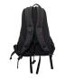 ARC'TERYX（アークテリクス）の古着「ARRO 16 BACKPACK」｜ブラック×パープル
