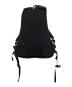 ARC'TERYX (アークテリクス) ARRO 16 BACKPACK ブラック×パープル：17000円