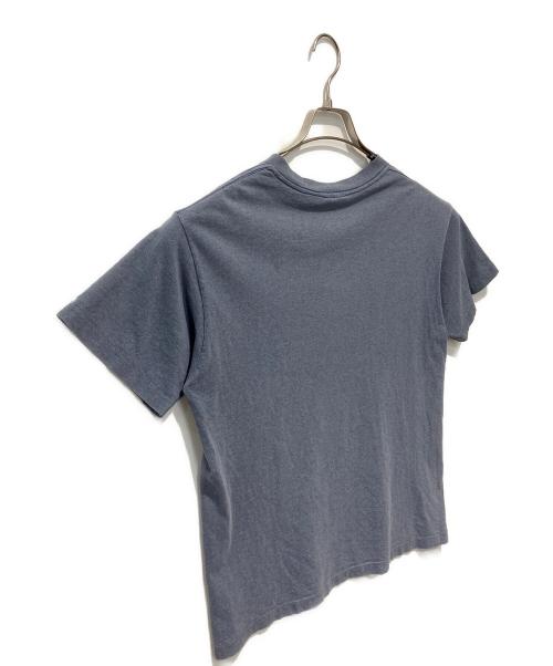 stussy（ステューシー）stussy (ステューシー) ハイカットスニーカープリントTEE スカイブルー サイズ:Mの古着・服飾アイテム