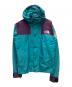 THE NORTH FACE（ザ ノース フェイス）の古着「トランスアンタークティカマウンテンジャケット」｜スカイブルー