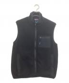 Patagoniaパタゴニア）の古着「シンチラフリースベスト」｜ブラック
