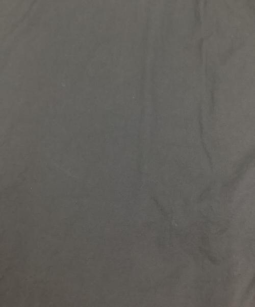 THE NORTH FACE（ザ ノース フェイス）THE NORTH FACE (ザ ノース フェイス) ベントリックストレイルフーディ ブルー サイズ:XLの古着・服飾アイテム