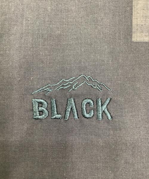 BLACK BRICK（ブラックブリック）BLACK BRICK (ブラックブリック) トレッキングウェア(シャツ) ブラック サイズ:Lの古着・服飾アイテム