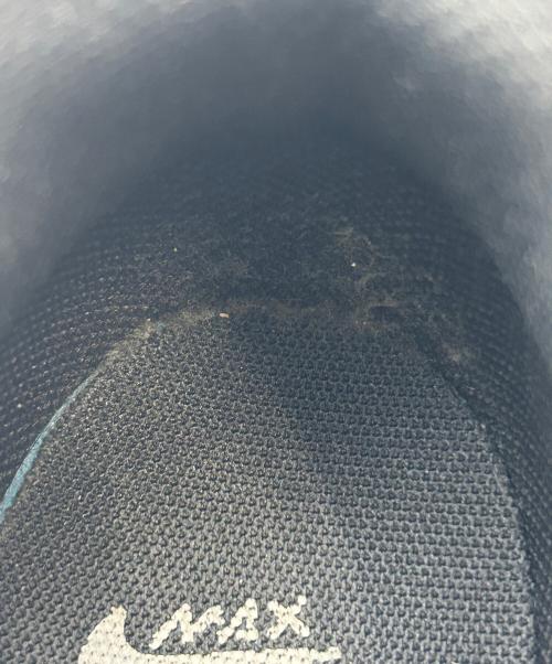 NIKE（ナイキ）NIKE (ナイキ) スニーカー/Air Max 95（エアマックス95）/Off Noir（オフノワール）/Amarillo（アマリロ） グレー サイズ:26.5の古着・服飾アイテム