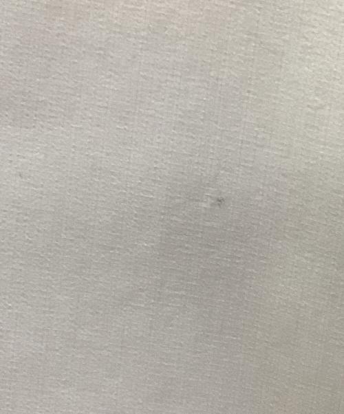 ZANE ARTS（ゼインアーツ）ZANE ARTS (ゼインアーツ) アウトドアウェア(ジャケット) ホワイト サイズ:Sの古着・服飾アイテム