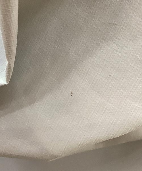 ZANE ARTS（ゼインアーツ）ZANE ARTS (ゼインアーツ) アウトドアウェア(ジャケット) ホワイト サイズ:Sの古着・服飾アイテム