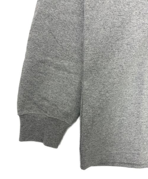 THE NORTH FACE（ザ ノース フェイス）THE NORTH FACE (ザ ノース フェイス) L/S SLEEVE GRAPHIC TEE グレー サイズ:M 未使用品の古着・服飾アイテム