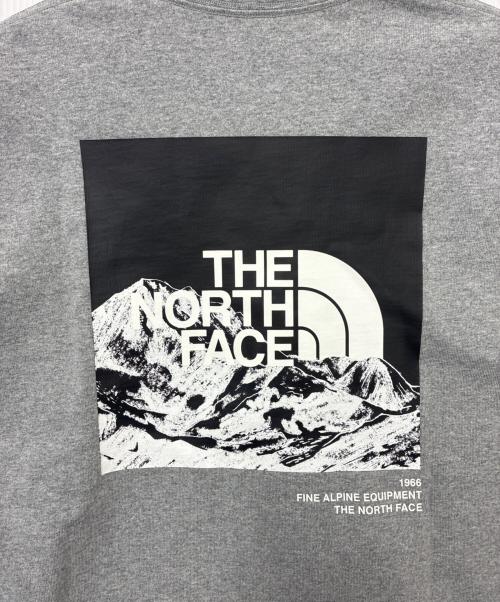 THE NORTH FACE（ザ ノース フェイス）THE NORTH FACE (ザ ノース フェイス) L/S SLEEVE GRAPHIC TEE グレー サイズ:M 未使用品の古着・服飾アイテム
