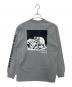 THE NORTH FACE (ザ ノース フェイス) L/S SLEEVE GRAPHIC TEE グレー サイズ:M 未使用品：7000円