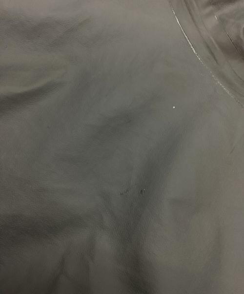 THE NORTH FACE（ザ ノース フェイス）THE NORTH FACE (ザ ノース フェイス) HYKE (ハイク) GTX MOUNTAIN COAT グレージュ サイズ:Lの古着・服飾アイテム