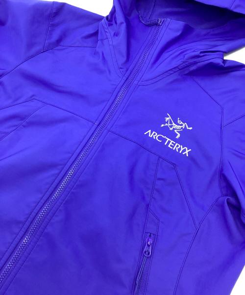 ARC'TERYX（アークテリクス）ARC'TERYX (アークテリクス) TENQUIKKE HOODY ブルー サイズ:XSの古着・服飾アイテム