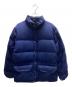 THE NORTH FACE（ザ ノース フェイス）の古着「リップストップダウンジャケット」｜ネイビー