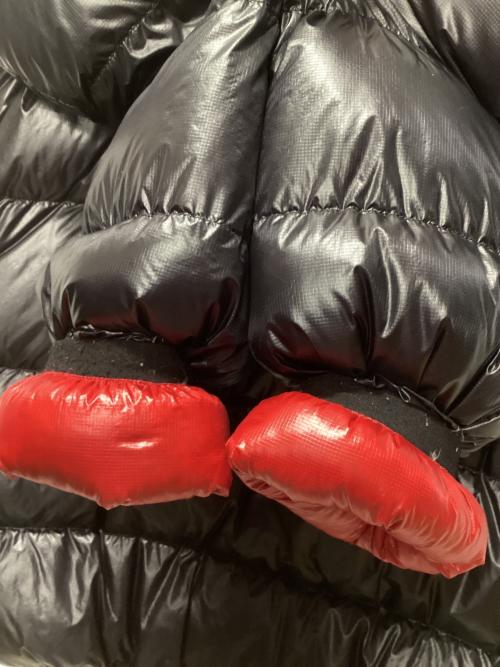 THE NORTH FACE（ザ ノース フェイス）THE NORTH FACE (ザ ノース フェイス) アルパイン ヌプシ ジャケット レッド×ブラック サイズ:Mの古着・服飾アイテム