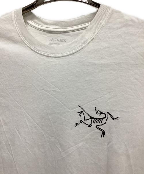 ARC'TERYX（アークテリクス）ARC'TERYX (アークテリクス) アークマルチバード ロゴ ショートスリーブ ホワイト サイズ:Sの古着・服飾アイテム