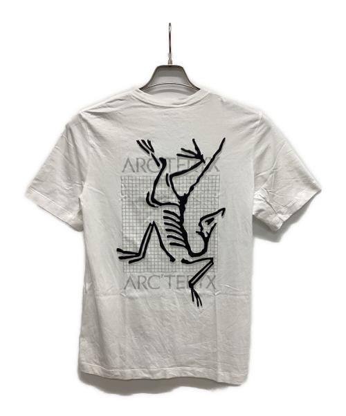 ARC'TERYX（アークテリクス）ARC'TERYX (アークテリクス) アークマルチバード ロゴ ショートスリーブ ホワイト サイズ:Sの古着・服飾アイテム