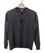 THE NORTH FACEザ ノース フェイス）の古着「Honeycomb L/S Henley」｜ブラック