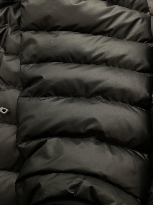 Patagonia（パタゴニア）Patagonia (パタゴニア) ダウンセーター ブラック サイズ:Lの古着・服飾アイテム