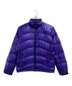 THE NORTH FACEザ ノース フェイス）の古着「アコンカグアジャケット」｜ブルー