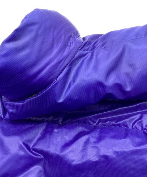 THE NORTH FACE（ザ ノース フェイス）THE NORTH FACE (ザ ノース フェイス) アコンカグアジャケット ブルー サイズ:Lの古着・服飾アイテム