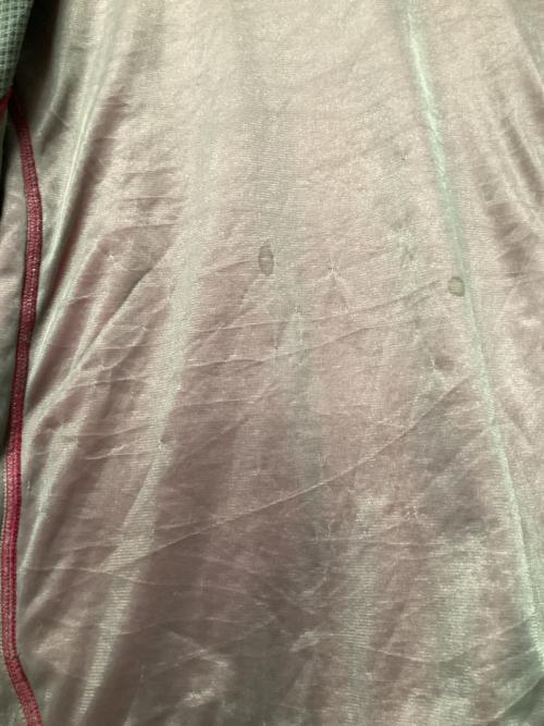 MAMMUT（マムート）MAMMUT (マムート) ゴブリンジャケット ピンク サイズ:Lの古着・服飾アイテム