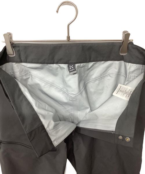 HAGLOFS（ホグロフス）HAGLOFS (ホグロフス) スピッツパンツ(トレッキングボトム) グレー サイズ:Lの古着・服飾アイテム