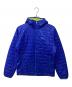 Patagonia（パタゴニア）の古着「ナノパフフーディー(トレッキングウェア)」｜ブルー