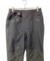 Patagonia (パタゴニア) Triolet Pants(トレッキングウェア/レインウェア) グレー サイズ:L：13000円