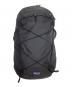 Patagonia（パタゴニア）の古着「テラヴィア・パック 22L」｜ブラック