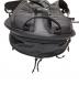 中古・古着 Patagonia (パタゴニア) テラヴィア・パック 22L ブラック：11000円
