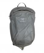 ARC'TERYXアークテリクス）の古着「インデックス15」｜グレー