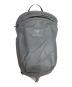 ARC'TERYX（アークテリクス）の古着「インデックス15」｜グレー