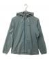 Patagonia（パタゴニア）の古着「ストレッチ・テール・プレーニング・フーディ（トレッキングウェア)」｜セージ