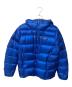 Patagonia（パタゴニア）の古着「メンズ・フィッツロイ・ダウン・フーディ（トレッキングウェア)」｜ブルー