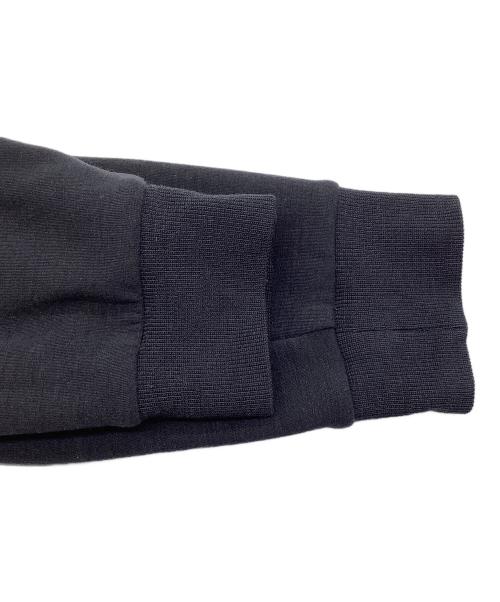 Icebreaker（アイスブレーカー）Icebreaker (アイスブレーカー) リアルフリース プルオーバーW ブラック サイズ:SIZE Sの古着・服飾アイテム