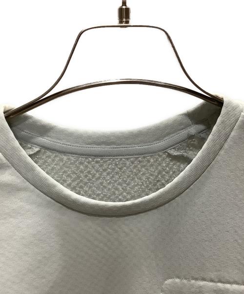 THE NORTH FACE（ザ ノース フェイス）THE NORTH FACE (ザ ノース フェイス) Expedition Grid Fleece CREW グレー/ティングレー サイズ:SIZE L 未使用品の古着・服飾アイテム