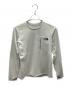 THE NORTH FACE（ザ ノース フェイス）の古着「Expedition Grid Fleece CREW」｜グレー/ティングレー